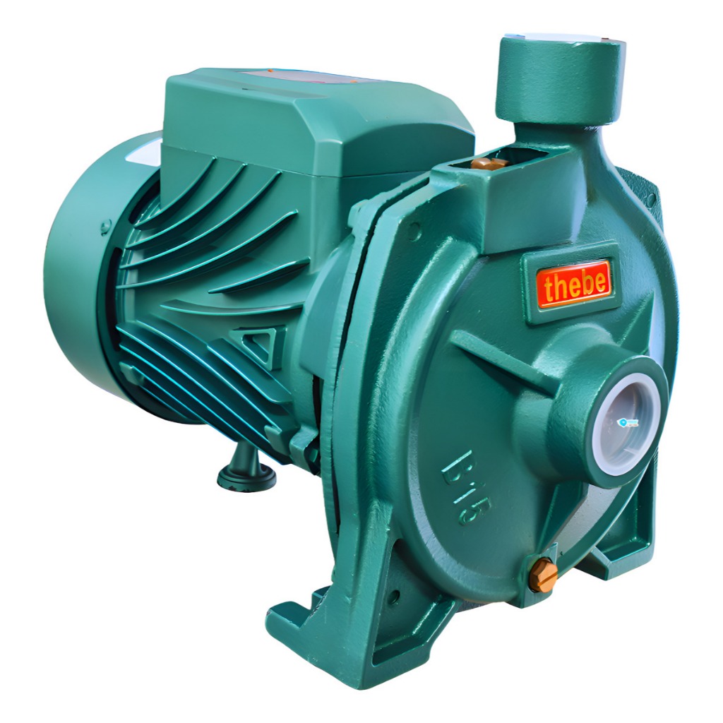 Bomba D'água Centrifuga B-15 2,0CV  Rotor em Bronze Agua Até 90º Selo Viton