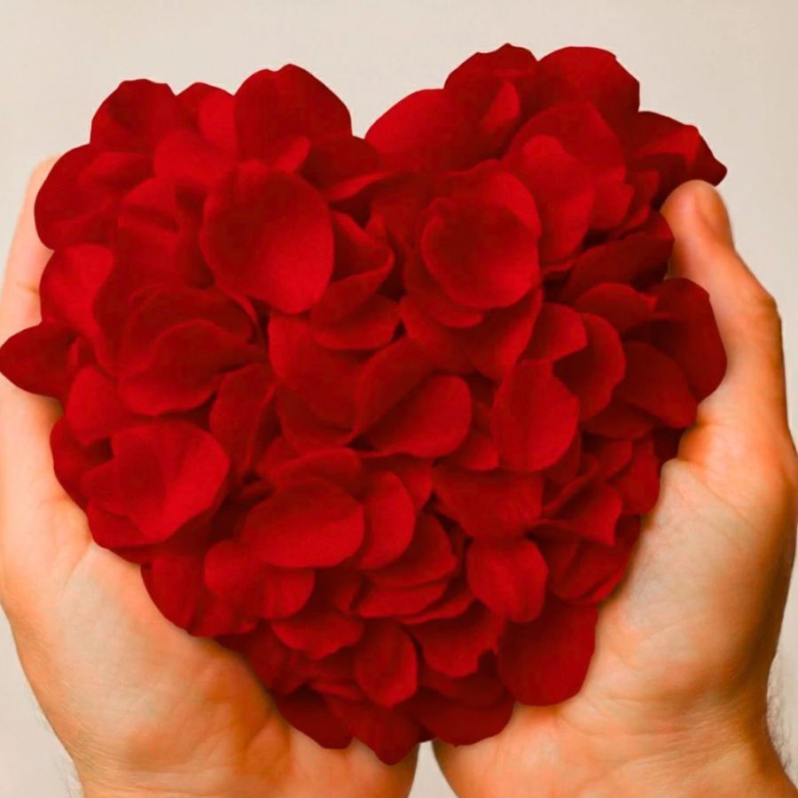 Pétalas De Rosa De Seda 2000 Unidades-Decoração De Flores Artificiais Para Presentes De Dia Dos Namorados , Casamento E