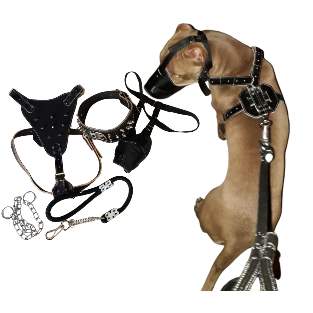 Kit 5 Peças Peitoral Cravos de Couro Para Cão com Focinheira Coleira Spikes Guia E Corrente Raças Medias e Grandes