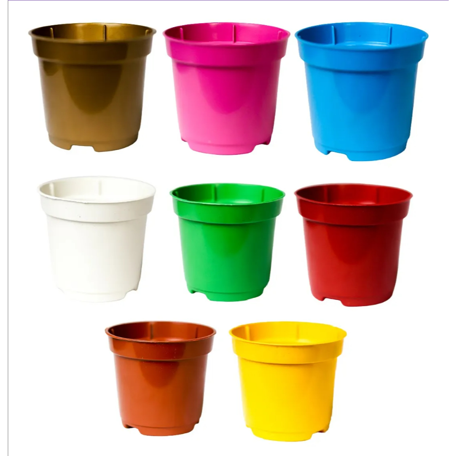 35 Vasos Pote 6 Plástico Muda 80ml Suculentas Cactos COLORIDO