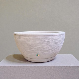 Vaso Decorativo em Polietileno para Planta Bacia Mini c/ Prato Coletor 26x13 Ideal Para Suculentas em Oferta na Shopee