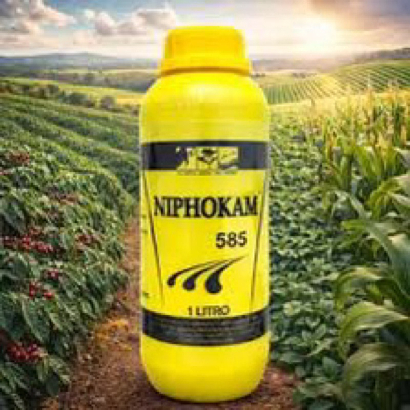 Foliar NIPHOKAM 585, nutrição BALANCEADA promoção !