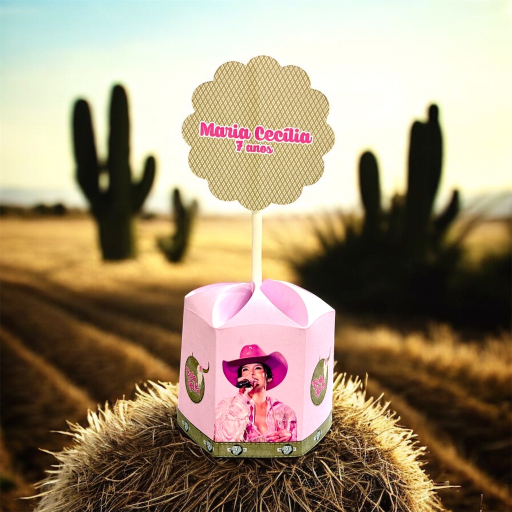 Centro de Mesa Ana Castela - Boiadeira  Com Nome e Idade Personalizado Para Festa Lembrancinha em Oferta na Shopee