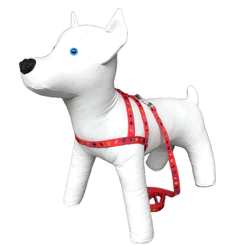 Conjunto Peitoral Com Guia De Nylon Pata Osso Para Cachorro Cão Porte Pequeno - Conforto Estilo Pet