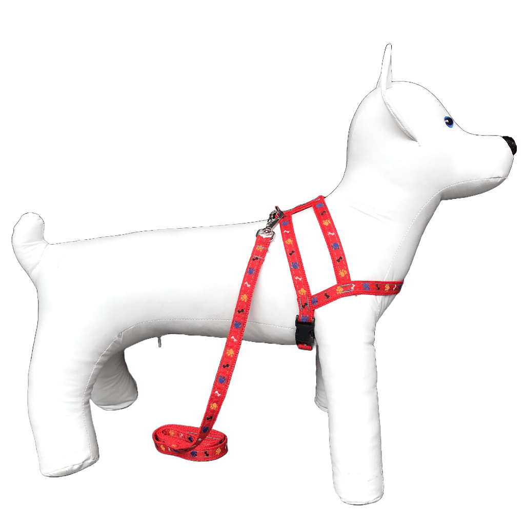 Conjunto Peitoral Com Guia De Nylon Pata Osso Para Cachorro Cão Porte Pequeno - Conforto Estilo Pet — imagem 2 de 2