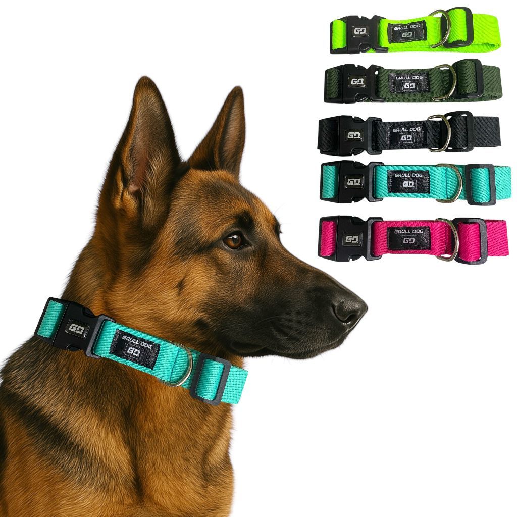 Coleira para Cachorro Ajustável Resistente Estilosa Pet Pequeno médio e grande porte em Oferta na Shopee