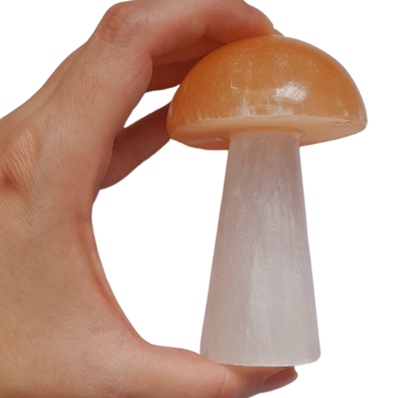 Cogumelo Selenita Branca Selenita Laranja Pedra Natural Lapidada em Oferta na Shopee