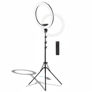 Ring Light Iluminador Polegadas 10 Com Tripé Profissional Premium Led Selfie para Celular em Oferta na Shopee