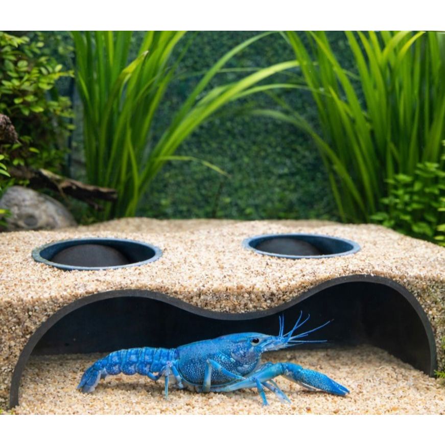 Caverna para Aquário  – Toca para Peixes | 10x5x4,5 cm | Material Atóxico em Oferta na Shopee