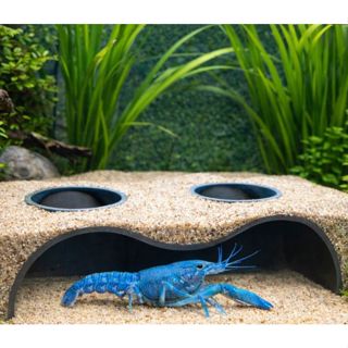 Caverna para Aquário  – Toca para Peixes | 10x5x4,5 cm | Material Atóxico em Oferta na Shopee