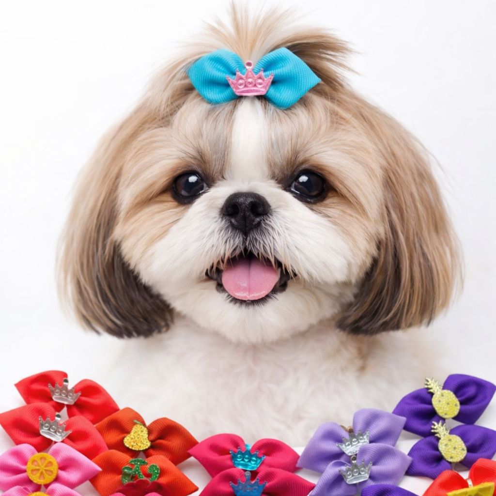 60/100/200 Laços Pet Sortidos Multicolor Lacinho Pet Laço Pet Atacado