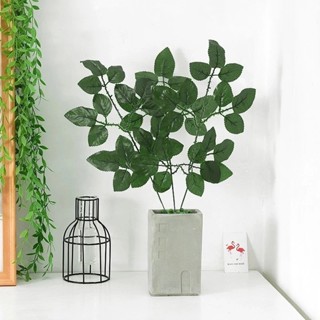 15 Folhas De Roseira/ Folhagem Artificial P/ Decoração Casamento, Arranjos, Decorar SD-801350 em Oferta na Shopee