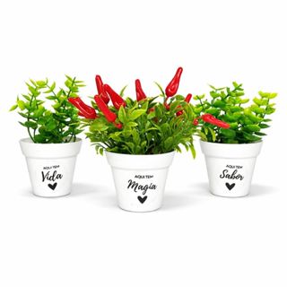 3 Vasinhos PIMENTA Kit Mini Vasos Arranjos Com Frase Decoração Cozinha Arranjinhos Enfeite Pimentinhas Trio em Oferta na Shopee