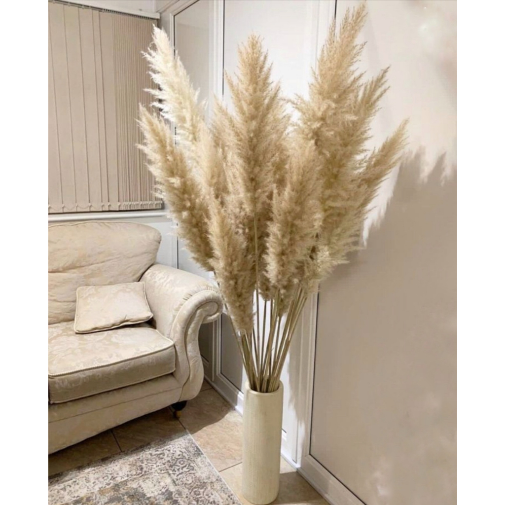 Capim Dos Pampas Decoração Plumosas Mesas arranjos Vaso Sala de Estar Festa Casamento. em Oferta na Shopee