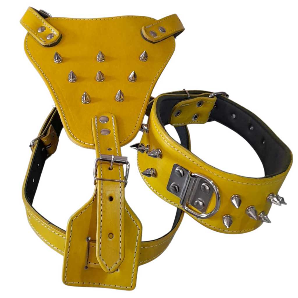kit Peitoral Spike Pitbull Rottweiller Feito Em Couro Legitimo +guia +coleira + focinheira