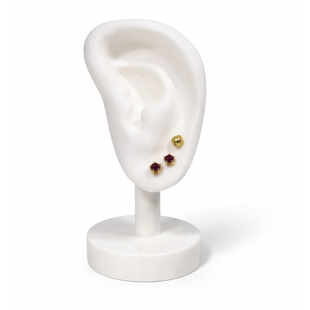 Orelha Expositor Porta Brinco Bijuterias Piercings Tamanho Real