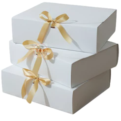 8 caixas para presente tamanho 25x20x8cm caixinha ideal para lembrancinha e convite de padrinhos