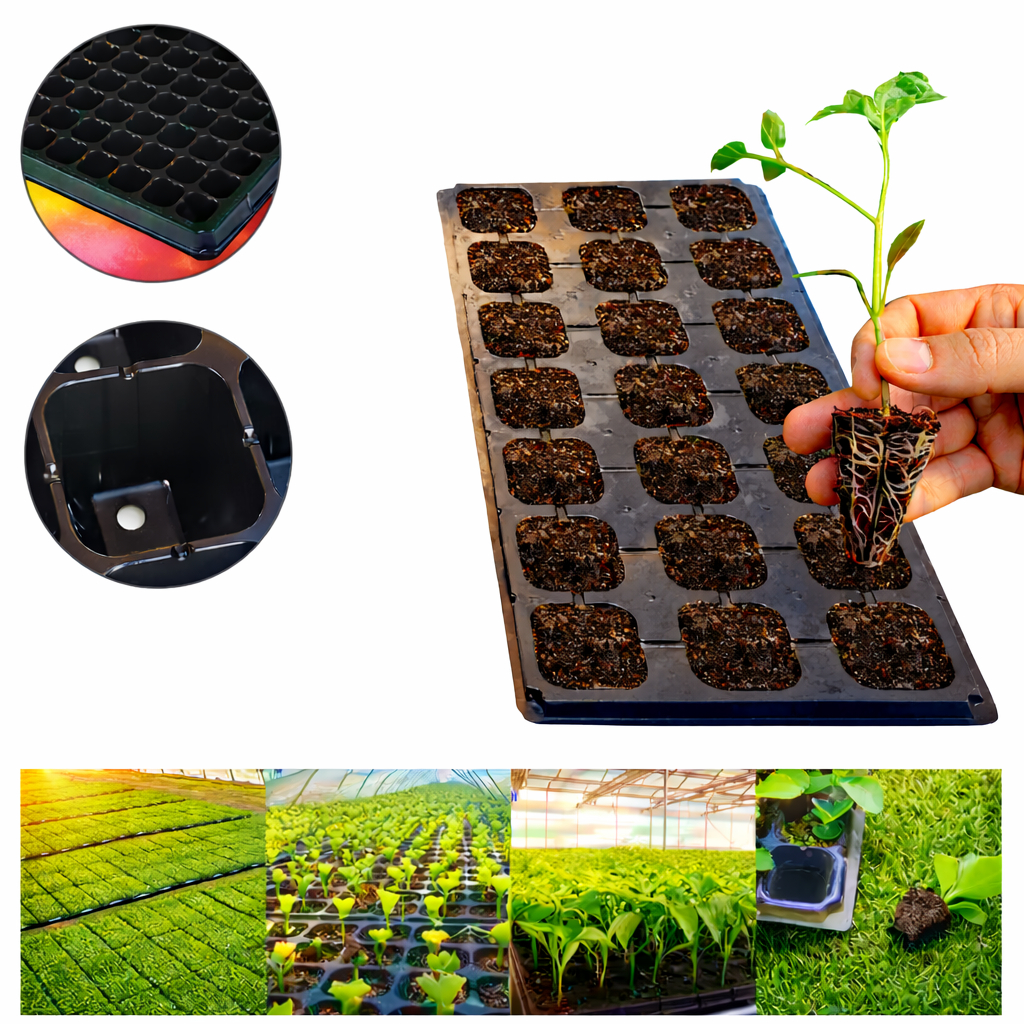 Kit 5 Bandeja Sementeira Para Jardim hortaliças Sementes Plantas Jardim - Oferta