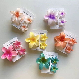 Kit 3 Presilha de Cabelo Acrílico Resistente Leve e Fácil de Usar Várias Cores