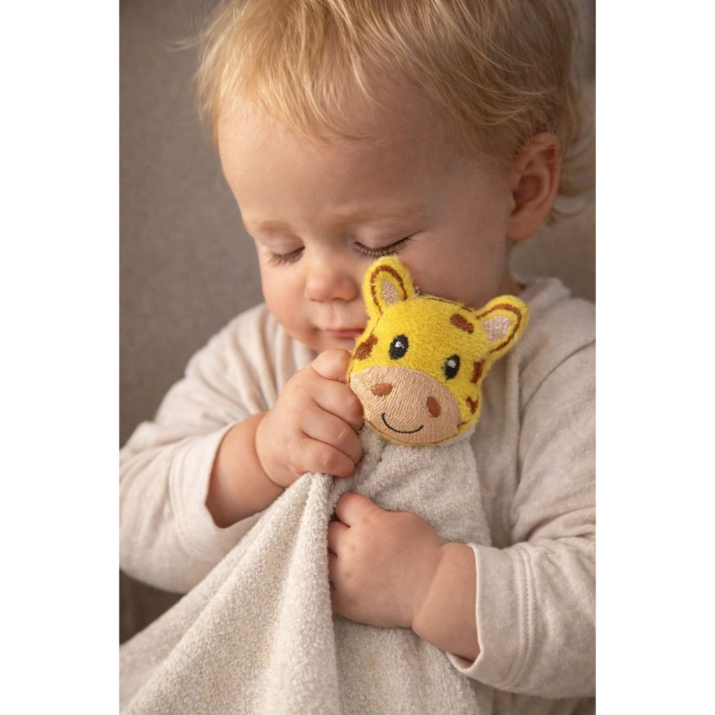 Kit Com 2 Naninha de Pelucia Bordado Infantil para Bebes Recem Nascido Maternidade e Enxovais em Oferta na Shopee