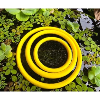 kit com 3 Anéis Alimentador Flutuantes para  Aquário em Oferta na Shopee