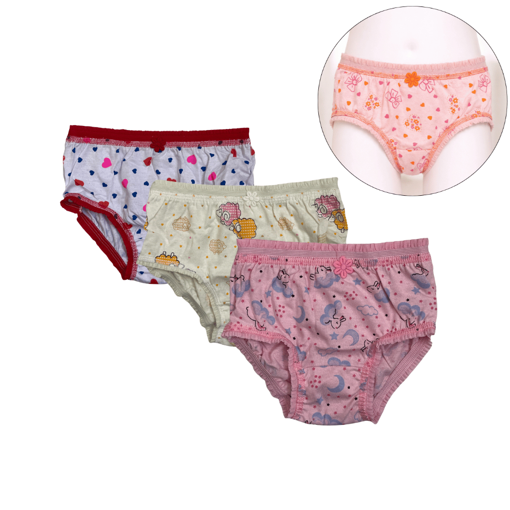 Kit 3 Calcinhas Kellynha Estampadas Bordadas Juvenil Tamanho 14 100% Algodão Confortável