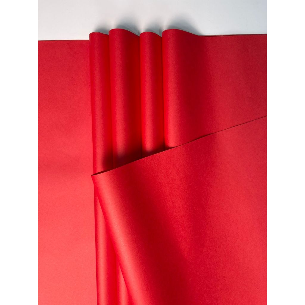 Papel de Seda Vermelho Claro- 50x70 pct 100 folhas
