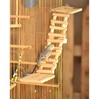 Kit Poleiros Plataforma e Escadinha Para Aves Calopsita, Periquito e Agapornis em Oferta na Shopee