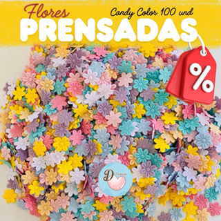 Aplique Flores Prensadas 100 und - Candy Color para Laços de Cabelo, Artesanato, Decorativo e Customização. em Oferta na Shopee