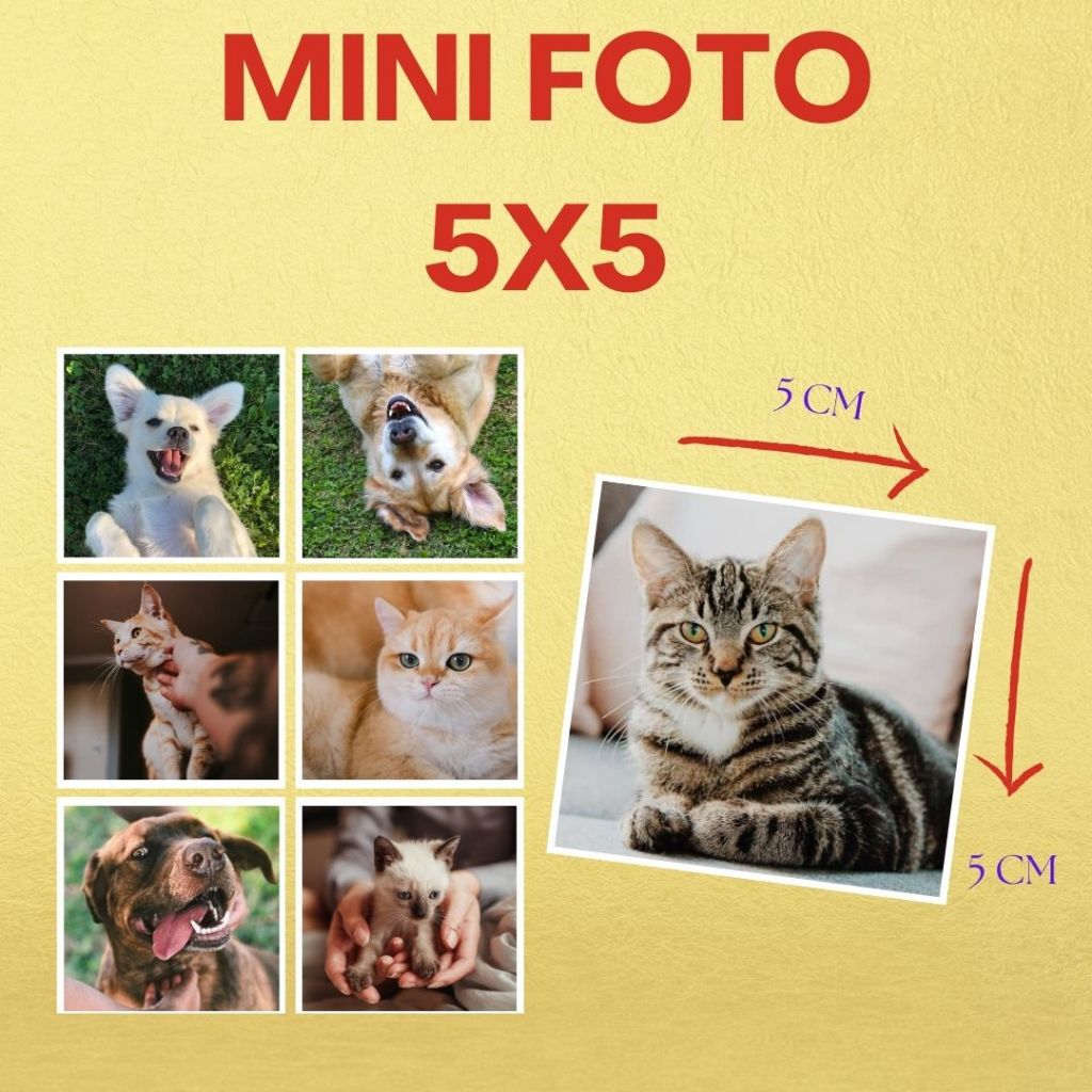 Kit Mini Foto 5x5 - Impressão Premium Papel Fotográfico - Lembranças Brindes Casamentos Aniversários em Oferta na Shopee