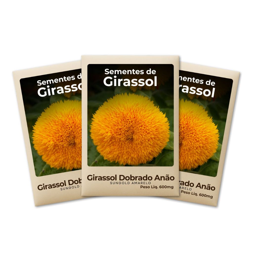 Girassol Anão Dobrado Sementes Sungold Anão Floração Abundante Sementes 100% puras Kit com 3 Pacotes