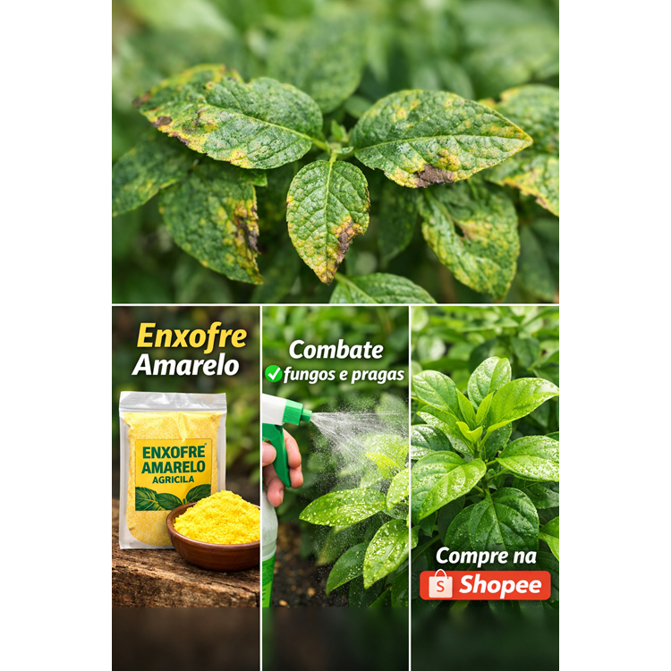 ENXOFRE PURO A GRANEL 2KG | PÓ AMARELO 99% PUREZA | VENTILADO | USO AGRÍCOLA E PECUÁRIO