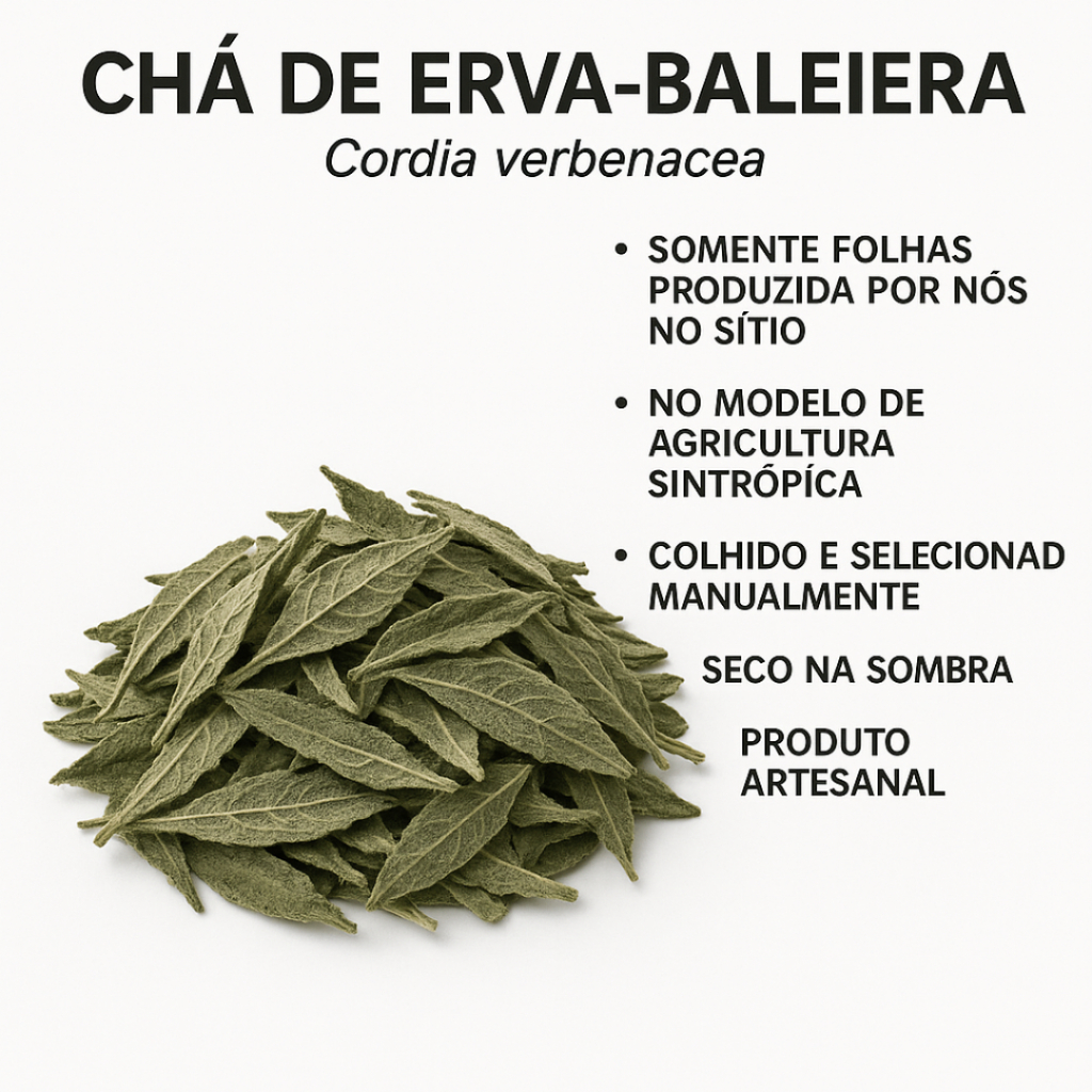 Chá de Erva-Baleeira (Cordia verbenacea) – Folhas | Produção Própria QuitandaFarma