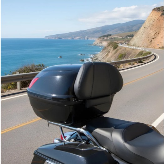 Encosto Almofada Espuma Bau Bauleto Bag Case Bmw G 310 Gs
