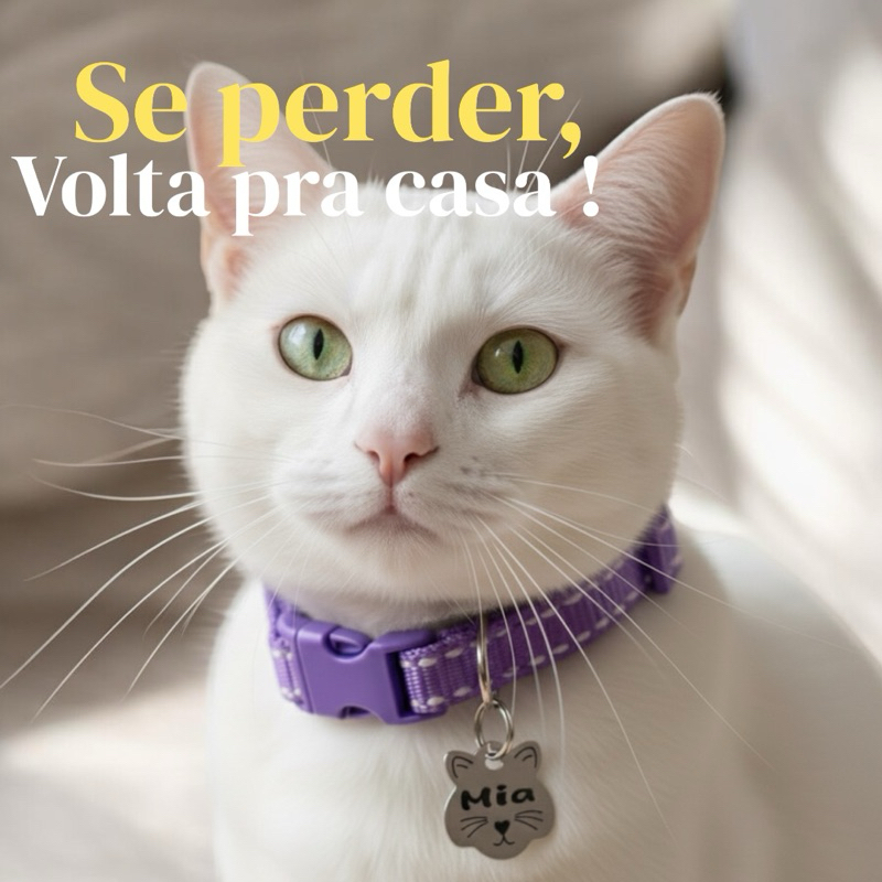 Coleira para Gato com Identificação Personalizada Anti-Perda | Nome e Telefone Gravados | Segurança Pet