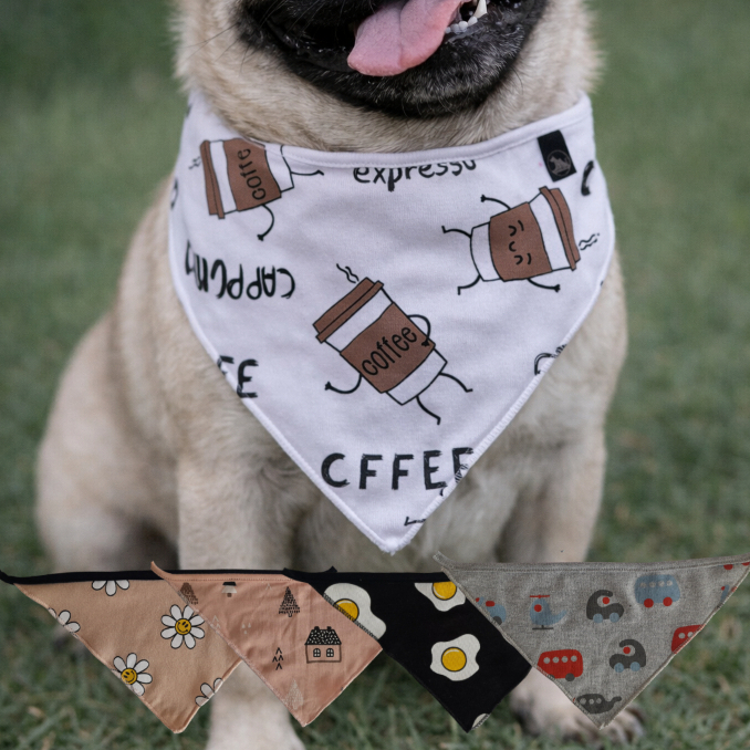 Kit Bandanas Pet - Bandanas Estampadas Sortidas