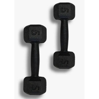 Par Halter Sextavado Pintado 5kg Academia Treino Funcional Musculação Peso Livre Casa Exercíci em Oferta na Shopee