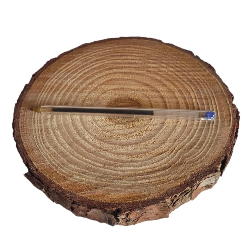 Bolacha de Madeira Rústico 16 cm para Centro de Mesa Decoração Festa Enfeite Porta Aliança Tronco — imagem 2 de 2