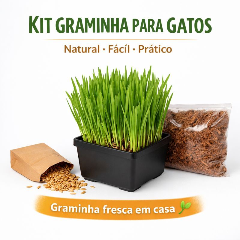 Graminha para Gatos Kit Plantio Fácil – Auxilia Digestão e Bola de Pelo