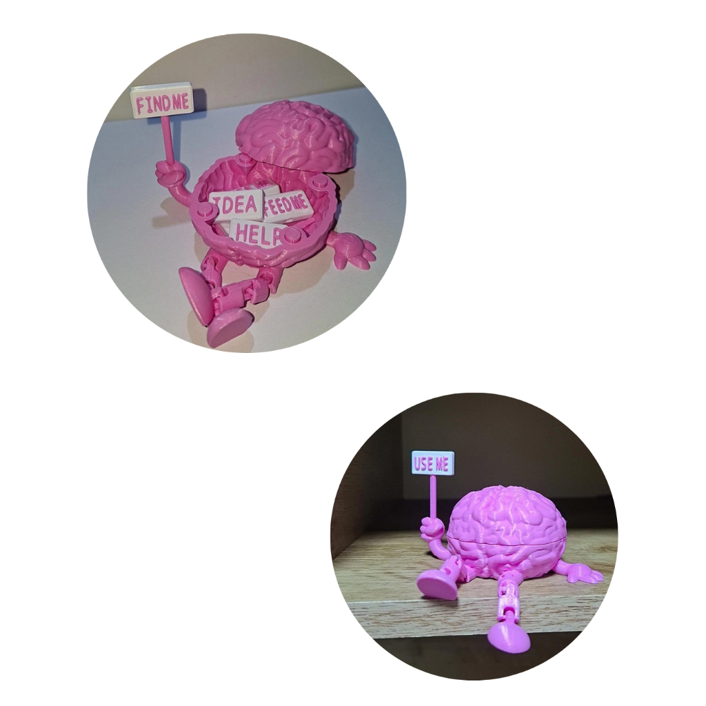 Cérebro Articulado 3D Fofo Decorativo Com Armazenamento Para as Plaquinhas em Oferta na Shopee