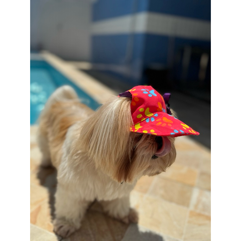 Boné para Cachorro e Gato , Proteção Solar, Brasil e mais estampas
