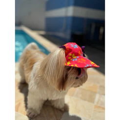 Boné para Cachorro e Gato , Proteção Solar, Brasil e mais estampas