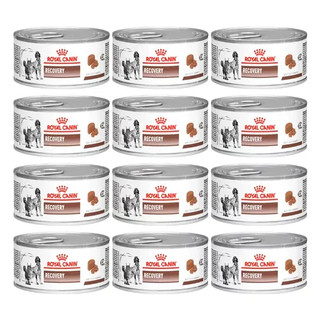 Royal Canin Recovery Kit com 12UN unidades de 195G