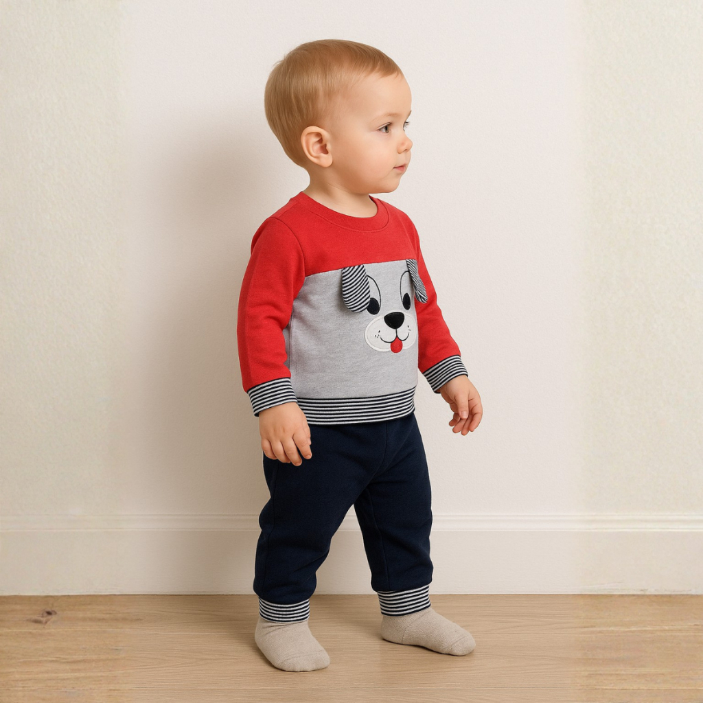 Conjunto Bebê Menino Suedine com Bordado Forro Interno 2 Peças Blusa + Calça Orelhinhas 3D Macio