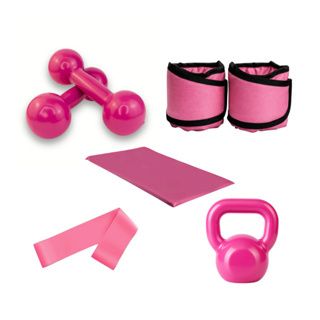 Treino Aeróbico Agachamento Kettlebell 4 Kg + Par Halter 1 Kg Rosa + Par Caneleira 1 Kg + Colchonete + Elástico em Oferta na Shopee