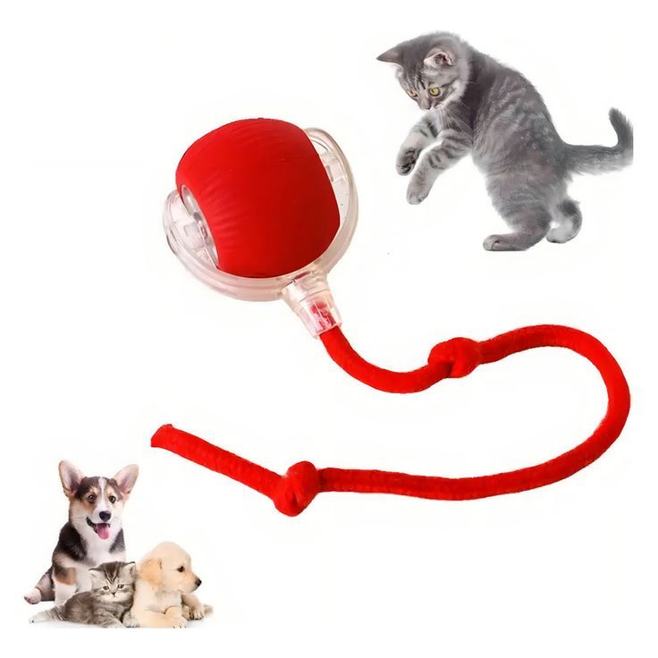 Bolinha Eletrônica Interativa para Pets Brinquedo Bolinha Cores Variadas Pequena Pet Fofo Gato Cachorro