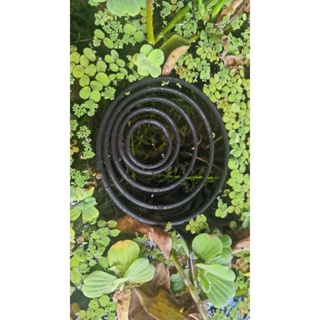 kit com 5 Anéis Flutuante para plantas aquáticas e alimentação em Oferta na Shopee