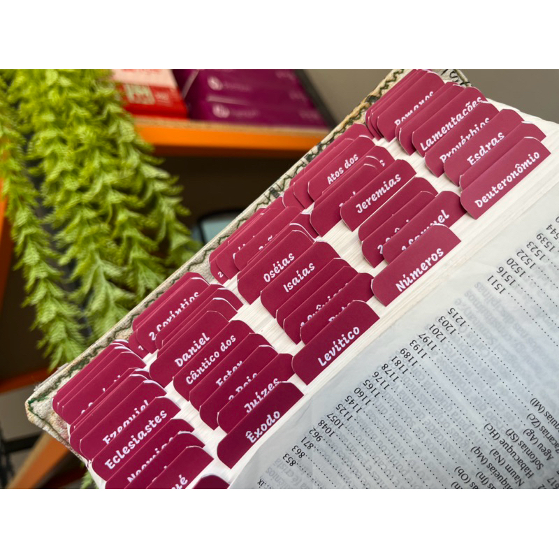 Abas Adesivas Para Bíblia - Marcador Índice Bíblico - Etiquetas para Bíblia - Masculinas e Femininas