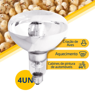 Kit 4 Lâmpada Infravermelho Secagem 250w 220v aquece aves pintinho porco tintas em Oferta na Shopee