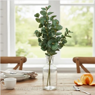 Buquê Eucalipto Artificial Grande Premium 7 Galhos em Oferta na Shopee